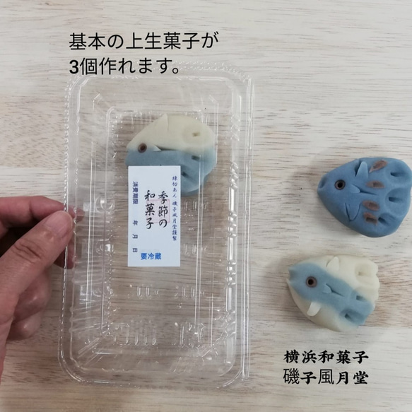 『自由研究キット2021』天然色素使用 おうちで和菓子 和菓子屋さんの作成キット 翻車魚 マンボウ 海の生き物 5枚目の画像