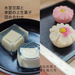 敬老の日 ギフトにも江戸時代の豆腐の和菓子 氷室豆腐と上生菓子