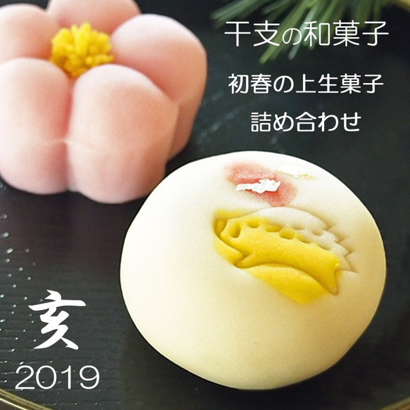 新春限定 亥と初春の上生菓子詰め合わせ 6個入り お年賀 初春限定商品 2枚目の画像