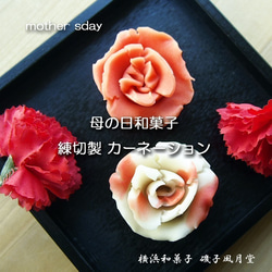 「母の日フード2020」カーネーション 初夏の上生菓子詰め合わせ 8個入り 限定商品 1枚目の画像