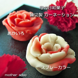 「母の日フード2020」カーネーション 初夏の上生菓子詰め合わせ 8個入り 限定商品 2枚目の画像