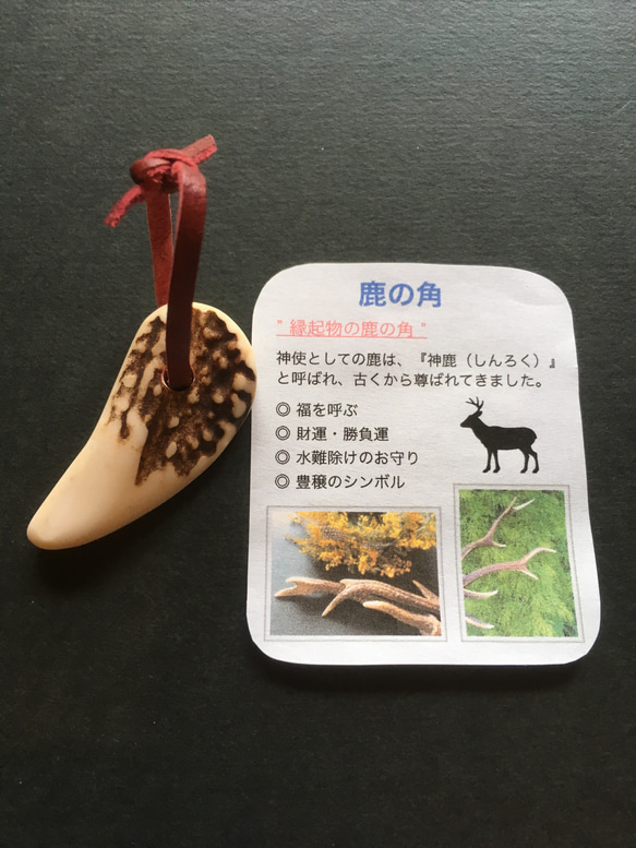 こてつ まとめ買い 鹿の角 2点 リーフ 国産 鹿の角 オブジェ Mサイズ 2250001963615 1個（直送