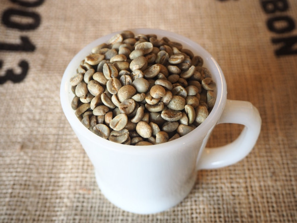 ブラジル　ボンジャルディン農園　自家焙煎･スペシャルティコーヒー【豆】300g　パルプドナチュラル ブルボンアマレロ　 2枚目の画像