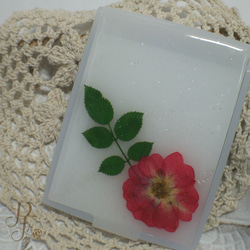 マーガレット❀押し花ミラー 手鏡 Petit Fleur 通販 3191376｜Creema