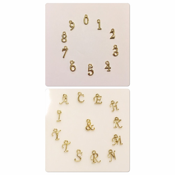  第5張的照片