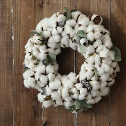 0_cd95ce80e08334a2d06ee2dd1170