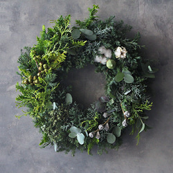 Mサイズ】生～ドライまでを楽しむ♪針葉樹の香りたっぷりのクリスマス