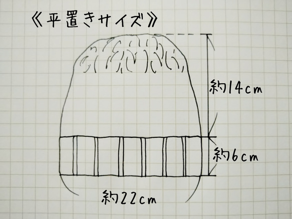 【受注制作】羊さんとアルパカさんの編込み模様の雪山帽子 5枚目の画像