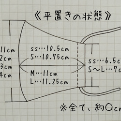 【受注制作】《asobigokoroマスク》Cotton＋ダブルガーゼ 【サイドポケット付き】 9枚目の画像