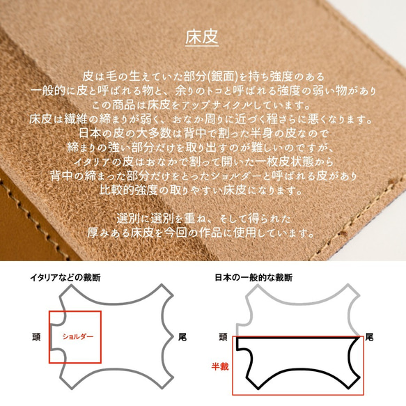  第5張的照片