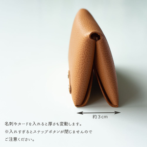 名刺入れ 【 シュリンクレザー 】カードケース コンパクト 姫路
