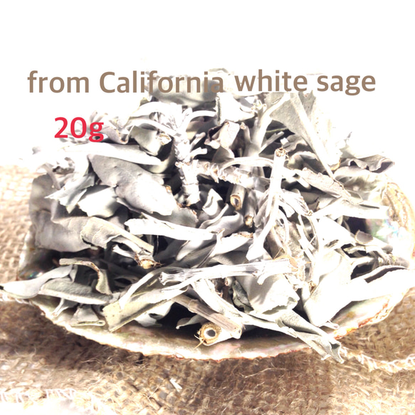 【浄化】20ｇ　カルフォルニア産　ホワイトセージ　ルーズリーフ　無農薬 4枚目の画像