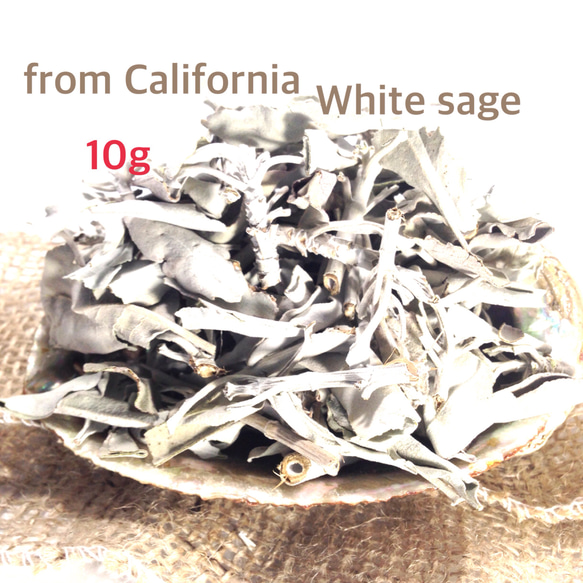 【浄化】10ｇ　カルフォルニア産　ホワイトセージ　ルーズリーフ　無農薬 4枚目の画像