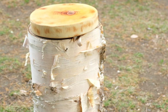 【天然木ウッドプレート】白樺 大判（高さ5cm,直径25cm） 3枚目の画像