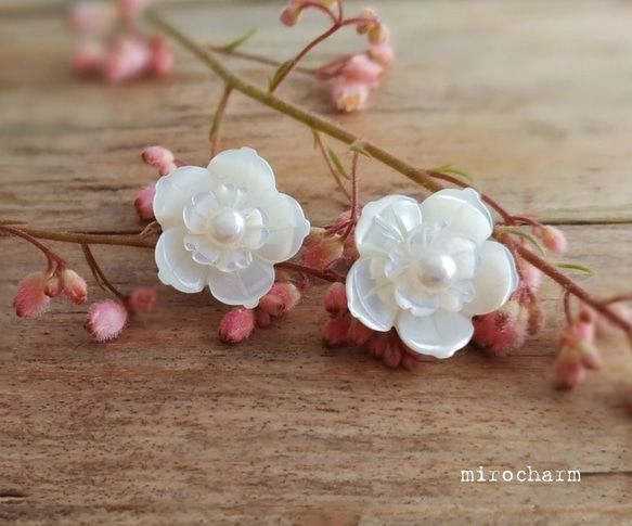 {14Kgf} -les fleurs blanches- pearl white 天然シェルピアス 4枚目の画像