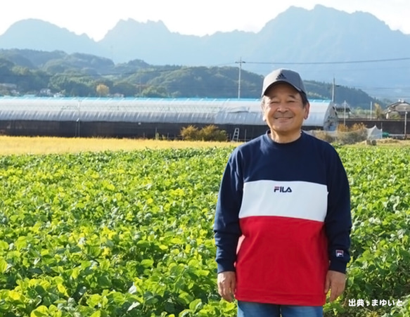 万能調味料ふりふるは、妙義みそを粉末状にし、色々な料理にふりかけるだけで天然醸造みその旨味とコクを楽しむことができます。 7枚目の画像