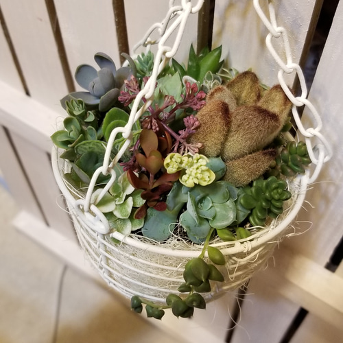 多肉植物 寄せ植え ハンギング プレゼントにも♥ アートフラワー