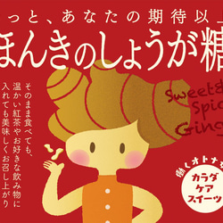 ≪送料無料3袋セット≫ほんきのしょうが糖 増量袋 3袋セット 8枚目の画像