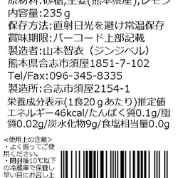 炭酸水でジンジャーエール！　しょうがシロップ レモン 9枚目の画像