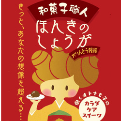 ほんきのしょうがかりんとう饅頭(3個入り）2箱 8枚目の画像