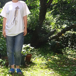 旧Sサイズのみsale☆生イカさんTシャツ☆海と釣りといが大好きな方に！日本画リアルな写生の烏賊Ｔシャツ☆在庫限りです！ 1枚目の画像