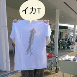 送料無料☆M～ＸＬサイズ☆生イカさんTシャツ☆海と釣りといか烏賊が大好きなあなたに！日本画リアルな写生のＴシャツ☆ 3枚目の画像