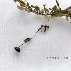 Dry flower pierce / D 4枚目の画像