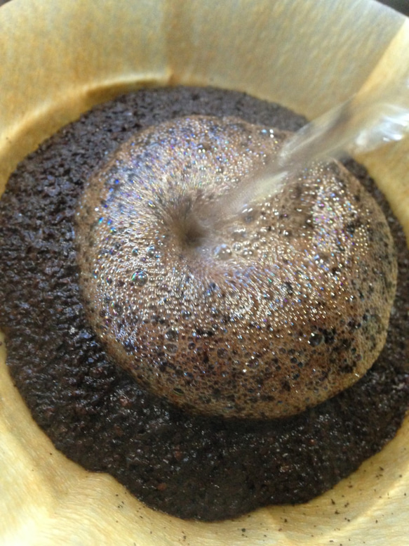 有機栽培コーヒー■ペルー・アルパカ　　自家焙煎コーヒー豆　　 1枚目の画像