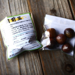 備前球（5枚）i-100 第2張的照片