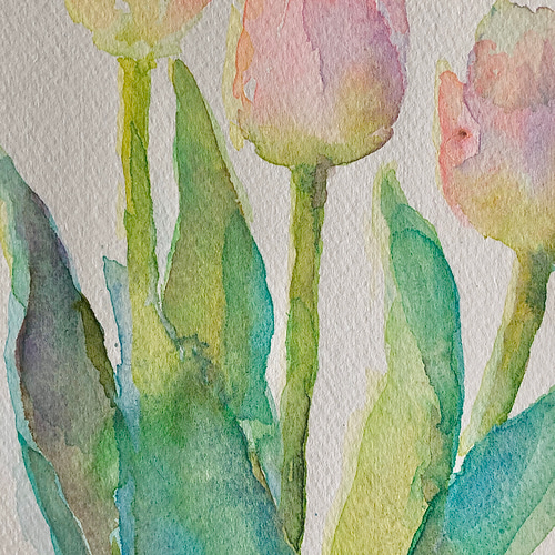 チューリップとカラー　水彩画 Watercolor demonstration | Tulip fields 水彩画〜チューリップ