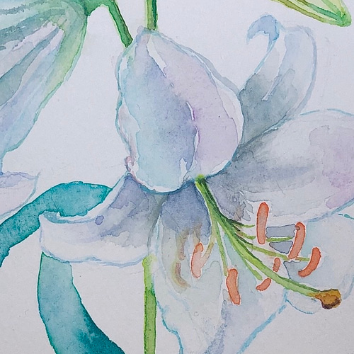 水彩画 原画 白い花と瓶 it-5ab5a99fed2d7-1200.jpg
