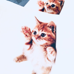 のびる、美tasuki。【発注製作】仔猫柄 4枚目の画像
