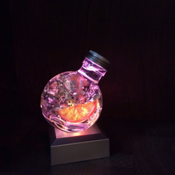 浮游花 魔法瓶 日本最新流行 第3張的照片