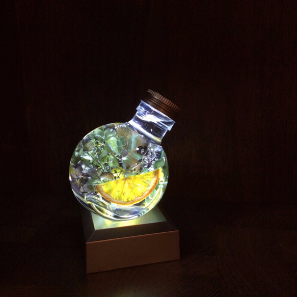 浮游花 魔法瓶 日本最新流行 第4張的照片