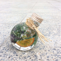 浮游花 魔法瓶 日本最新流行 第5張的照片