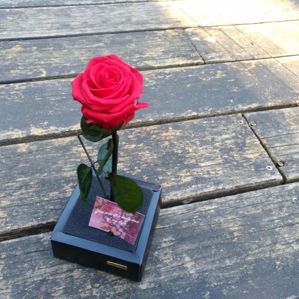 情人節首選 唯一 永生玫瑰花 第3張的照片