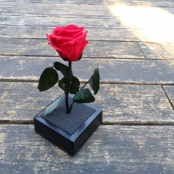 情人節首選 唯一 永生玫瑰花 第4張的照片