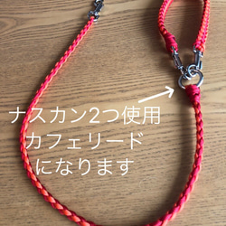 0_1edb9512651827414b1928808ab4