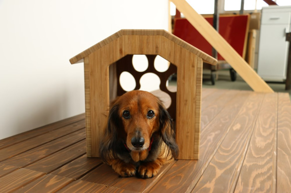 【1点限り】ドッグハウス/ペットハウス/室内用犬小屋 3枚目の画像