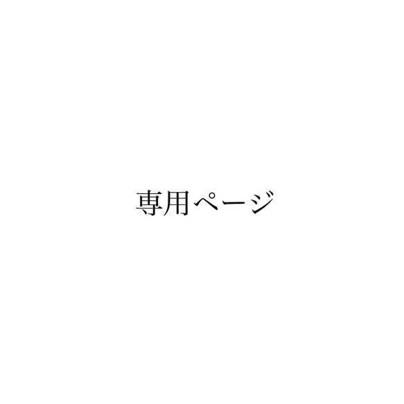 専用ページ 1枚目の画像