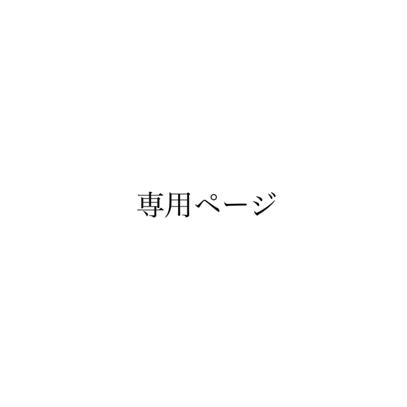 専用ページ 1枚目の画像