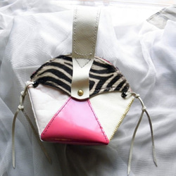 MicroMiniBag  Pink Triangle 1枚目の画像