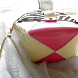 MicroMiniBag  Pink Triangle 3枚目の画像