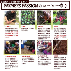 完熟コーヒー(豆/粉) 【ハニー×ミディアム】ネパールの直営農園で農薬を使わないアグロフォレストリーで栽培 4枚目の画像