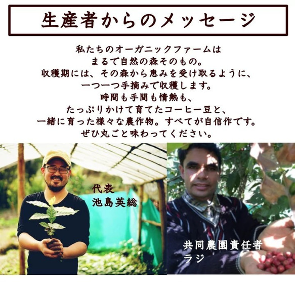 【レモングラスジンジャーティー】ネパールの直営農園で農薬を使わないアグロフォレストリーで栽培したハーブ使用 7枚目の画像