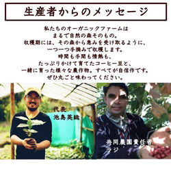 【トゥルシ―ティー】ネパールの直営農園で農薬を使わないアグロフォレストリーで栽培したハーブを使用 6枚目の画像