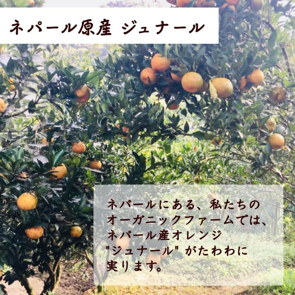 【ジュナールピールティー】送料無料　リラックスしたい方へ 　ネパールの直営農園で森林農法で栽培したハーブ使用 3枚目の画像