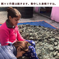 【シナモンリーフチャイ】送料無料　ティーバッグ ネパールで自家栽培したスパイス使用 5枚目の画像