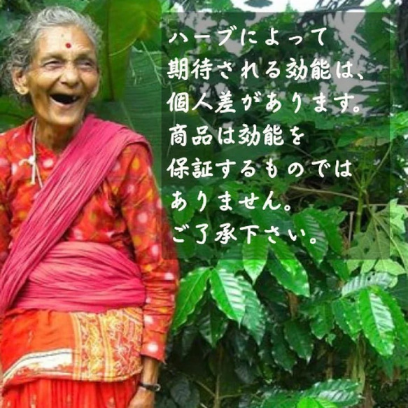【シナモンリーフチャイ】送料無料　ティーバッグ ネパールで自家栽培したスパイス使用 9枚目の画像