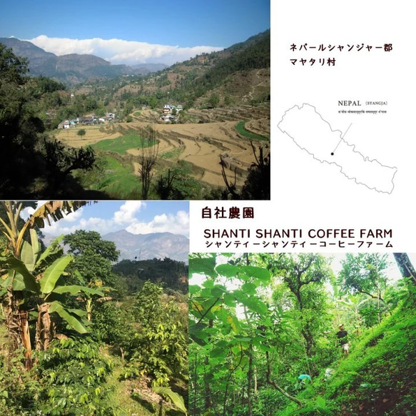 【クラフトカフェオレベース】送料無料 ネパールの直営農園で森林農法で栽培したコーヒー豆使用。 3枚目の画像